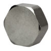 manifold blanking cap A metal hexagon-shaped blanking nut.