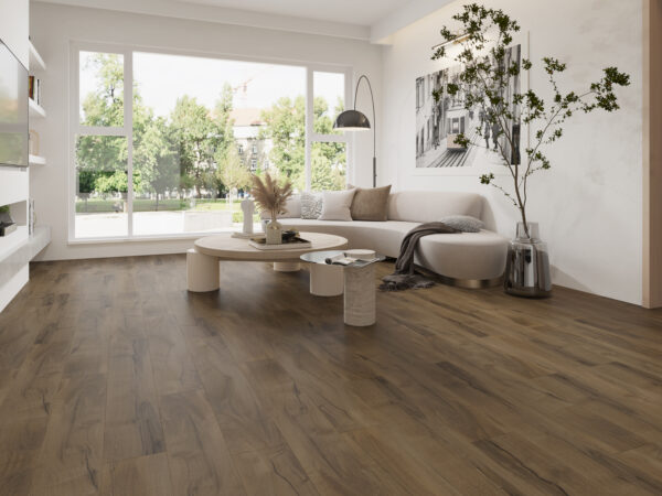 BLA024 home