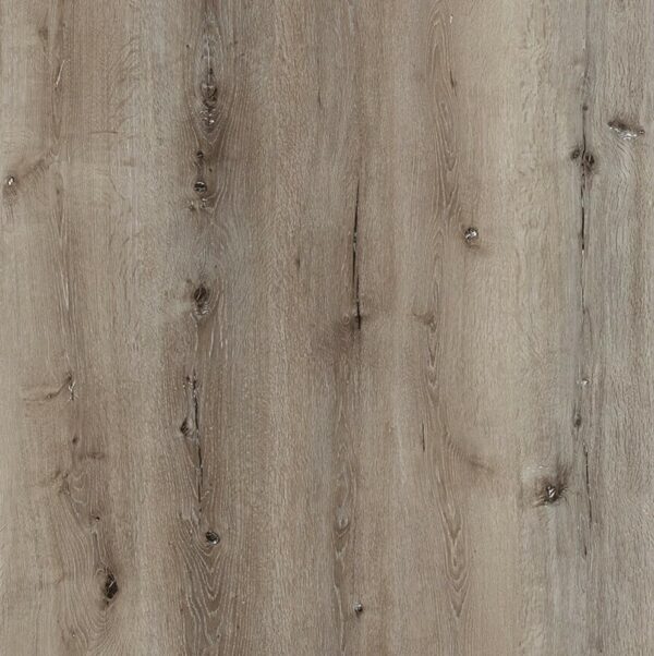Edwards Oak XL27