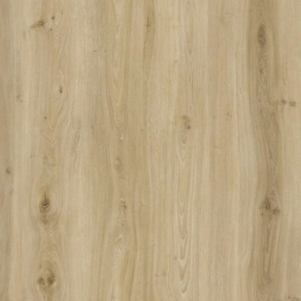 Pristine Oak XL36